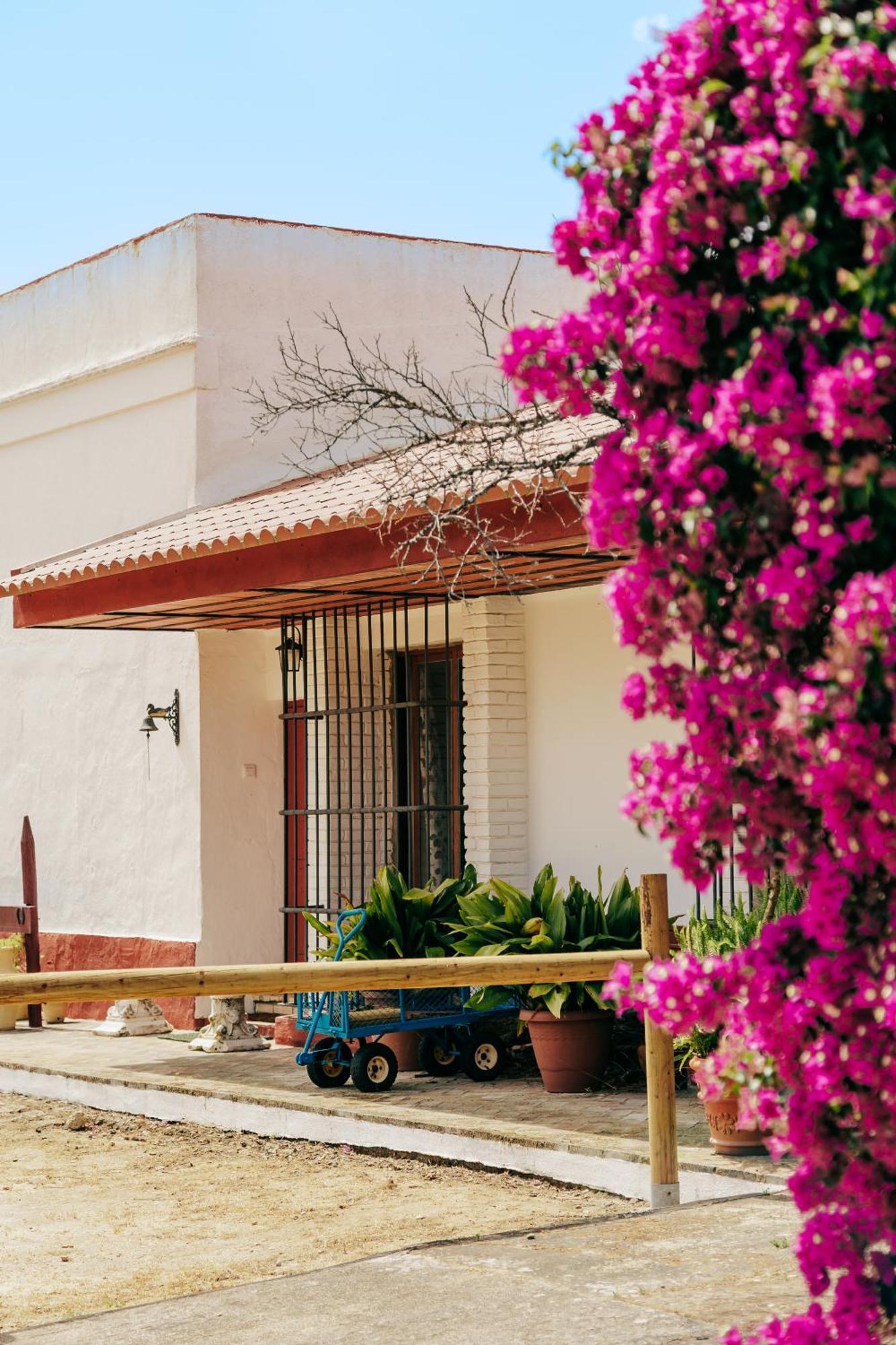 Casa Dehesa De Yeguas Cádiz